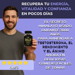 UltraShilajit™ - GOMITAS⚡Menos fatiga, más energía y mejor rendimiento diario.⚡